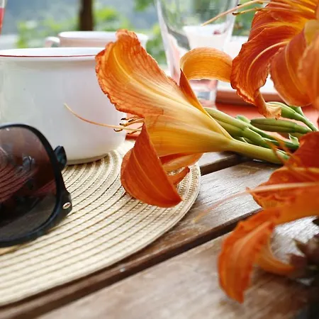 Bed & Breakfast Allo Spizzo Valstagna